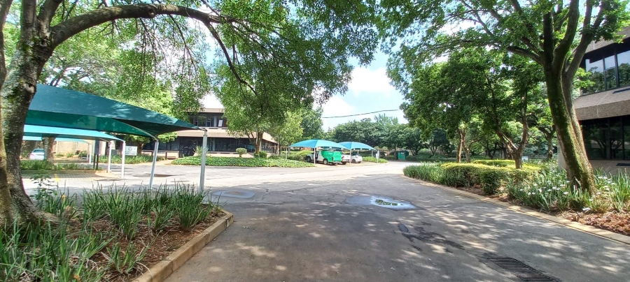 To Let Commercial Property for Rent in Isando Gauteng