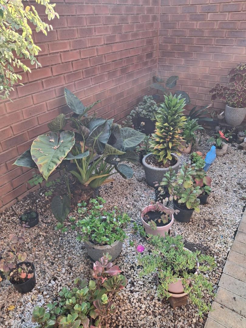 3 Bedroom Property for Sale in Olympus Gauteng