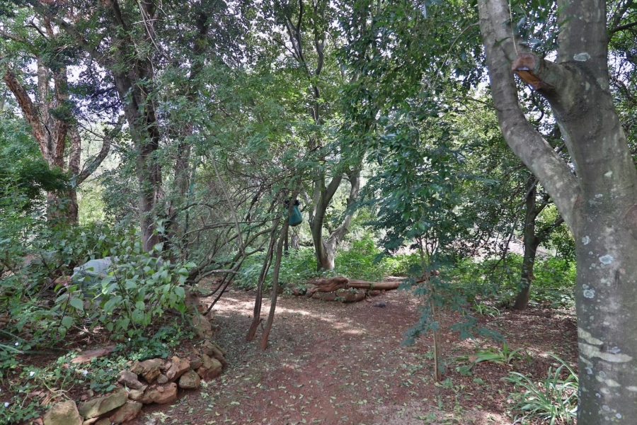 3 Bedroom Property for Sale in Ruimsig Gauteng