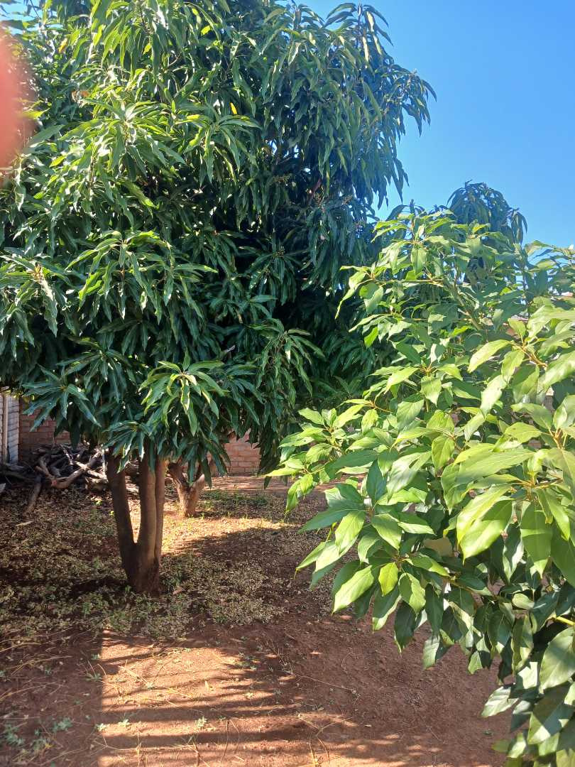 3 Bedroom Property for Sale in Nkwe Estate Gauteng