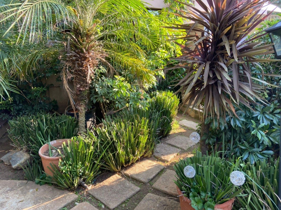 To Let 2 Bedroom Property for Rent in Morning Hill Gauteng