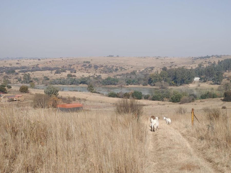 Commercial Property for Sale in Vischgat Gauteng