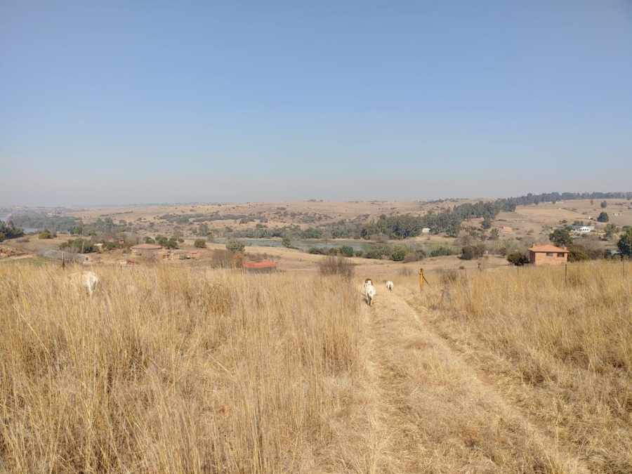 Commercial Property for Sale in Vischgat Gauteng