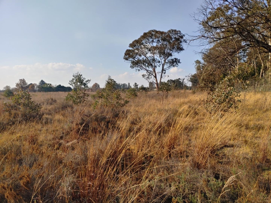 Commercial Property for Sale in Walker Fruit Farms Gauteng
