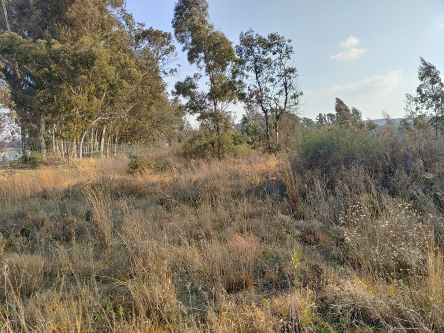 Commercial Property for Sale in Walker Fruit Farms Gauteng