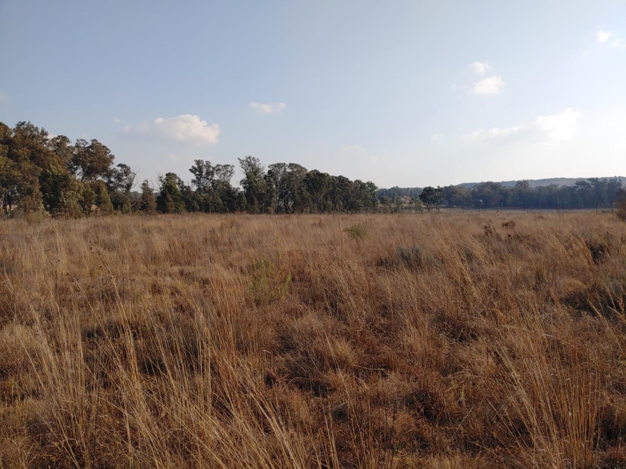 Commercial Property for Sale in Walker Fruit Farms Gauteng