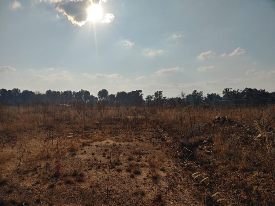Commercial Property for Sale in Walker Fruit Farms Gauteng