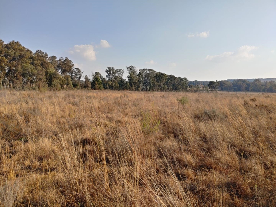 Commercial Property for Sale in Walker Fruit Farms Gauteng