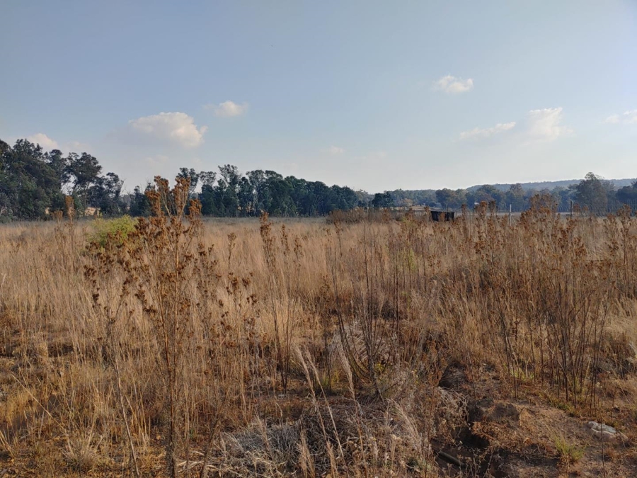Commercial Property for Sale in Walker Fruit Farms Gauteng