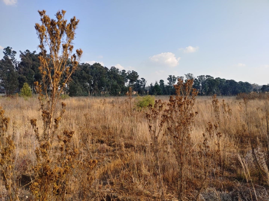 Commercial Property for Sale in Walker Fruit Farms Gauteng
