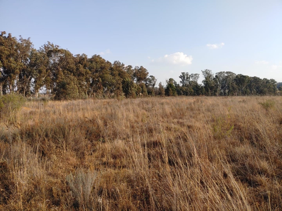 Commercial Property for Sale in Walker Fruit Farms Gauteng