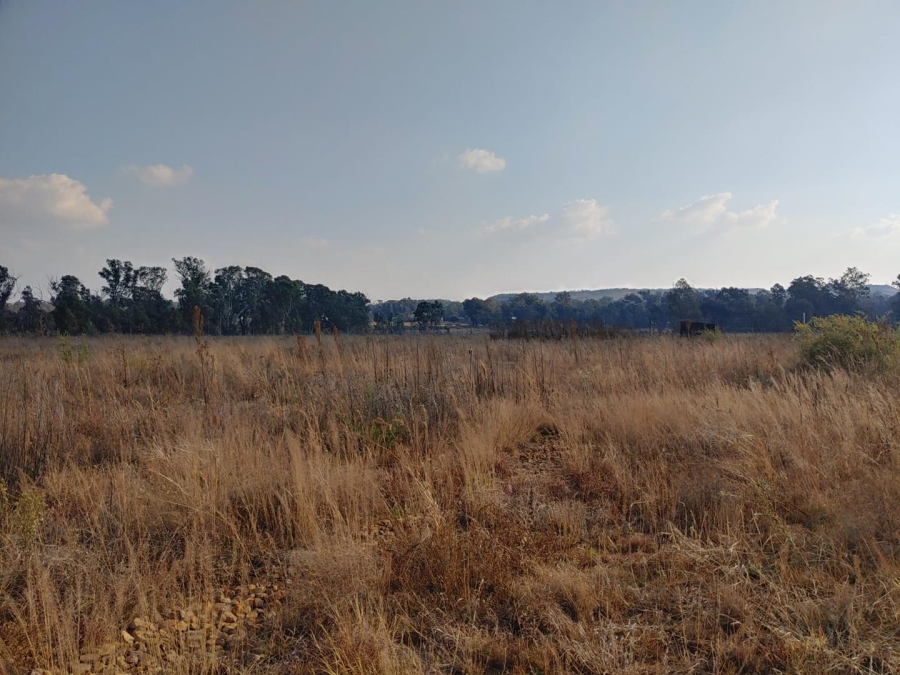 Commercial Property for Sale in Walker Fruit Farms Gauteng
