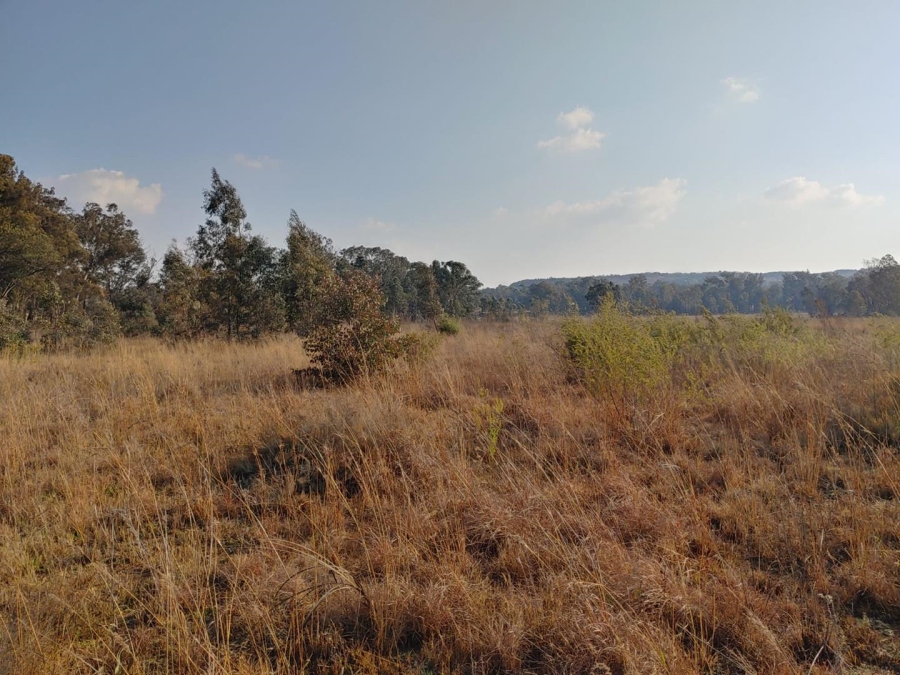 Commercial Property for Sale in Walker Fruit Farms Gauteng