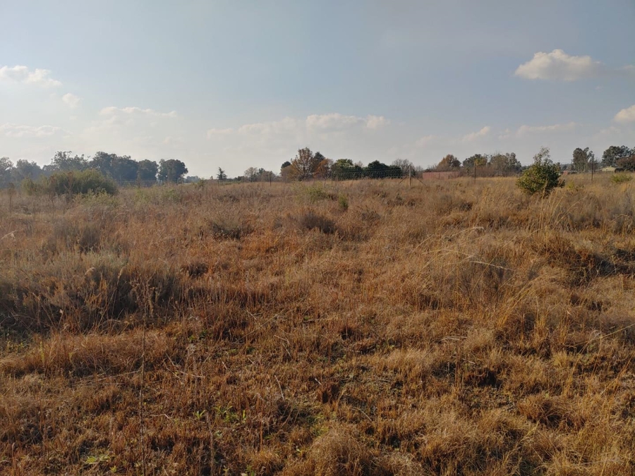 Commercial Property for Sale in Walker Fruit Farms Gauteng