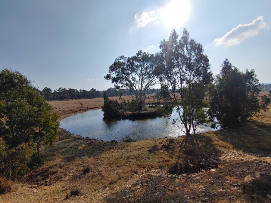7 Bedroom Property for Sale in Walker Fruit Farms Gauteng