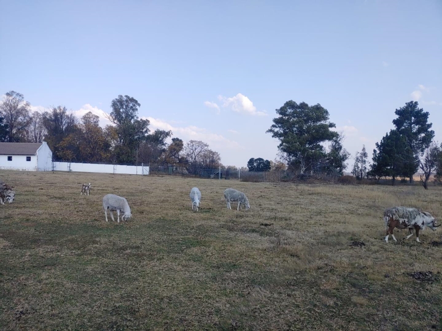 7 Bedroom Property for Sale in Walker Fruit Farms Gauteng