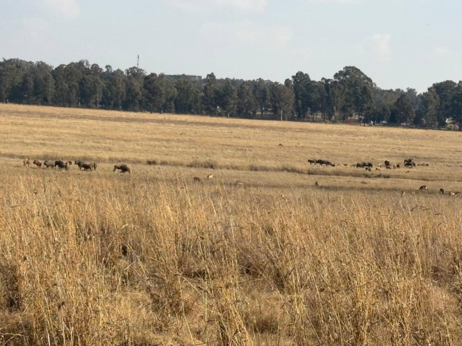 7 Bedroom Property for Sale in Walker Fruit Farms Gauteng