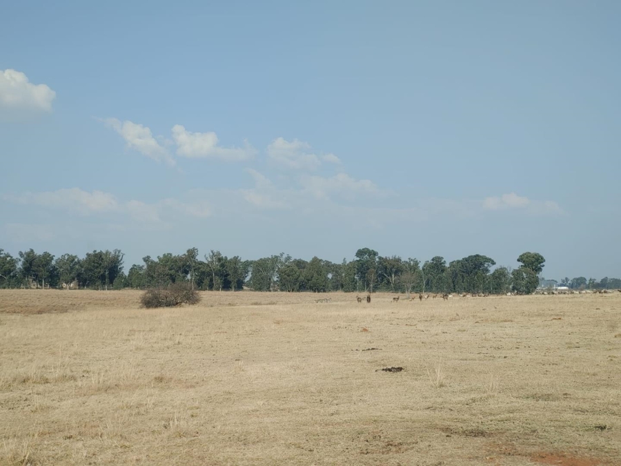 7 Bedroom Property for Sale in Walker Fruit Farms Gauteng