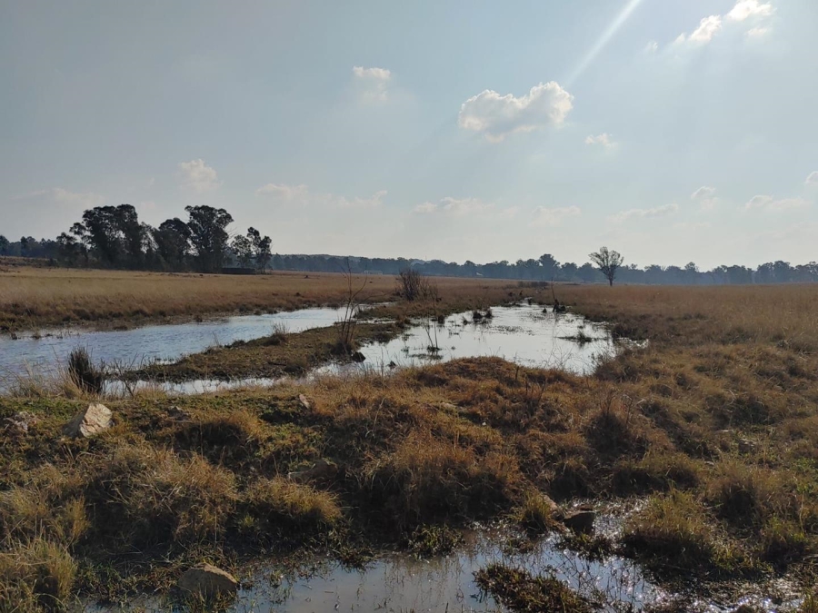 7 Bedroom Property for Sale in Walker Fruit Farms Gauteng