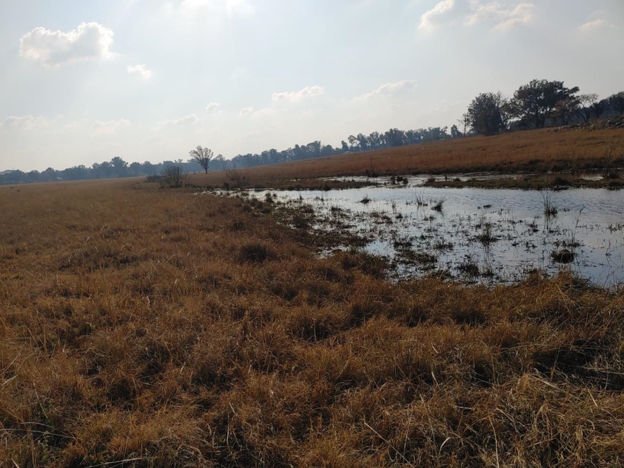 7 Bedroom Property for Sale in Walker Fruit Farms Gauteng