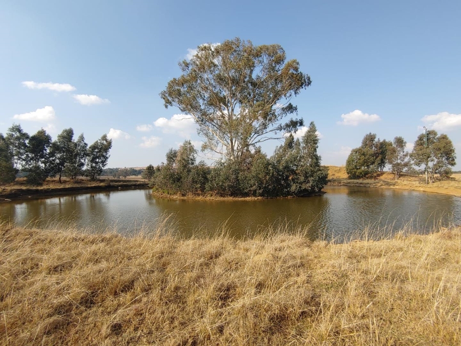 7 Bedroom Property for Sale in Walker Fruit Farms Gauteng