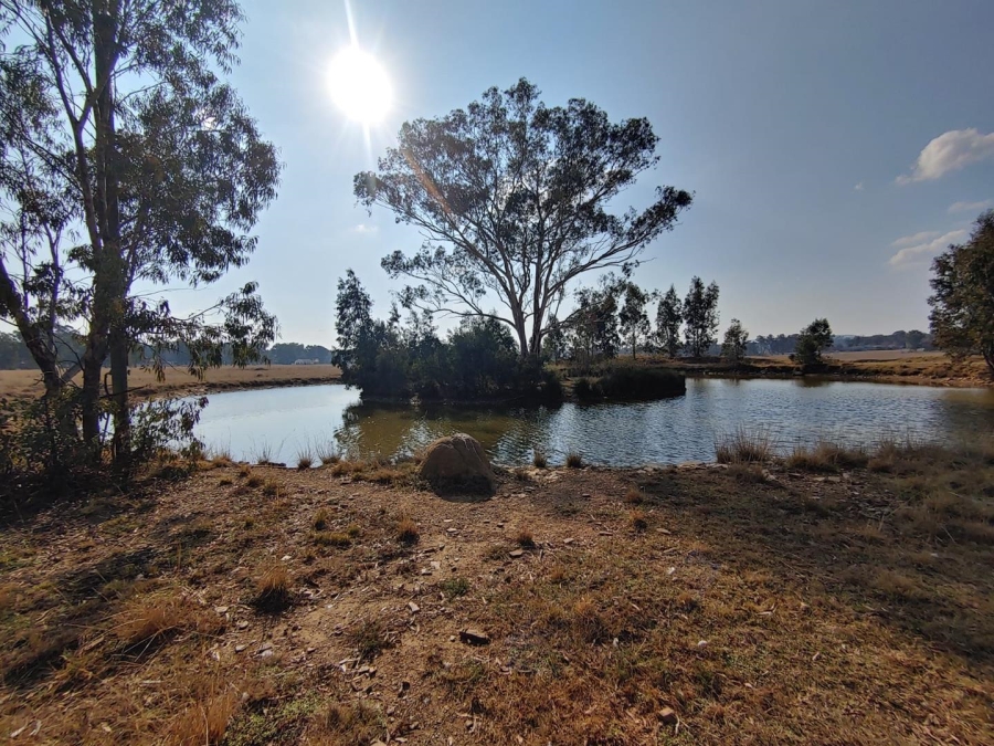 7 Bedroom Property for Sale in Walker Fruit Farms Gauteng