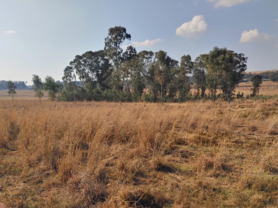 7 Bedroom Property for Sale in Walker Fruit Farms Gauteng
