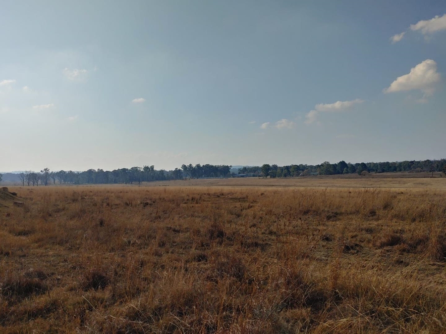 7 Bedroom Property for Sale in Walker Fruit Farms Gauteng