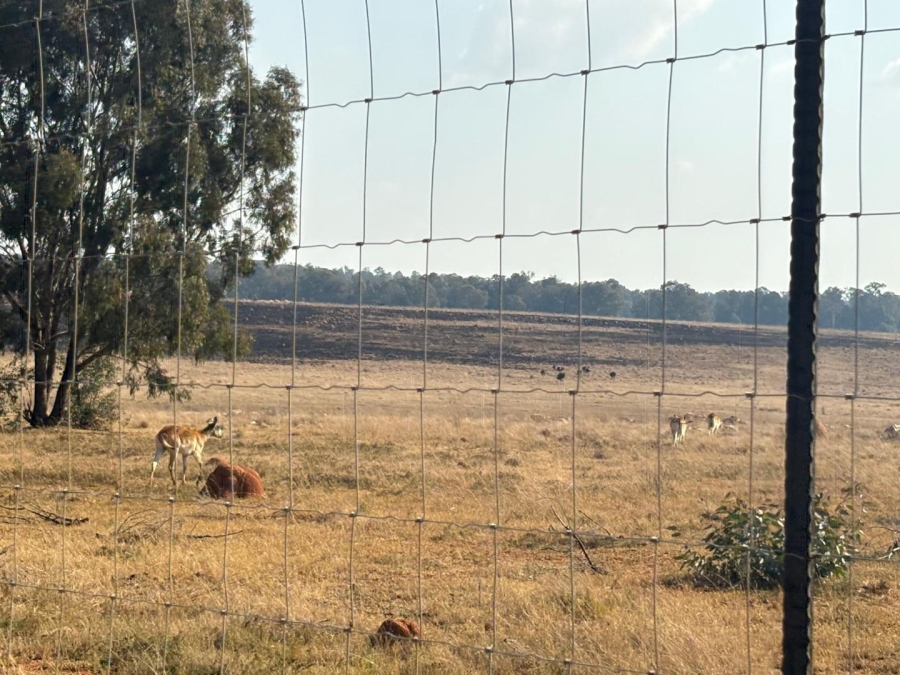 7 Bedroom Property for Sale in Walker Fruit Farms Gauteng