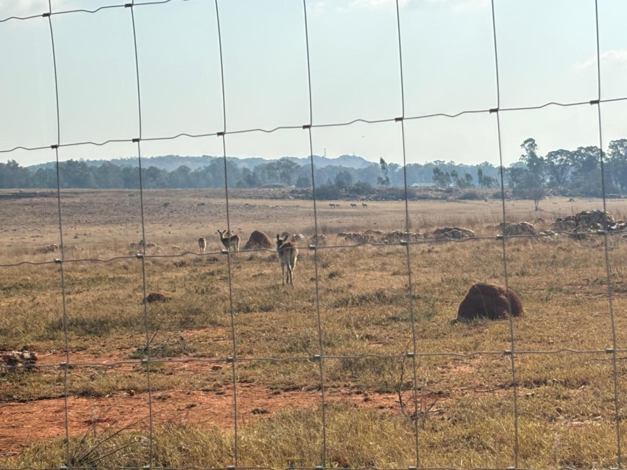 7 Bedroom Property for Sale in Walker Fruit Farms Gauteng