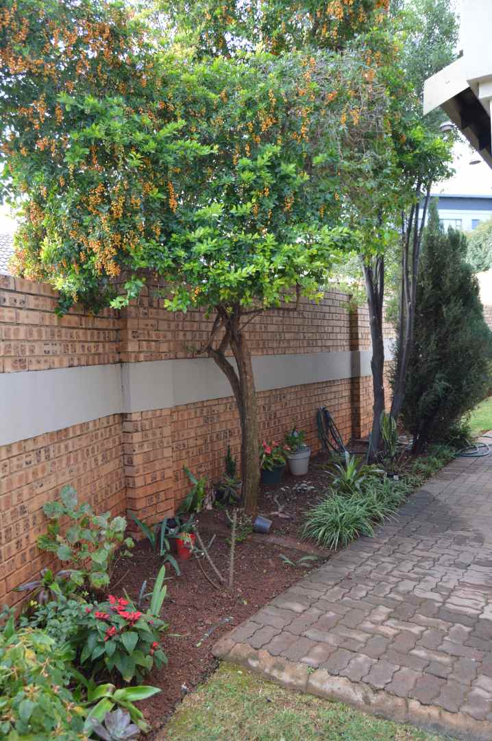 3 Bedroom Property for Sale in The Wilds Gauteng