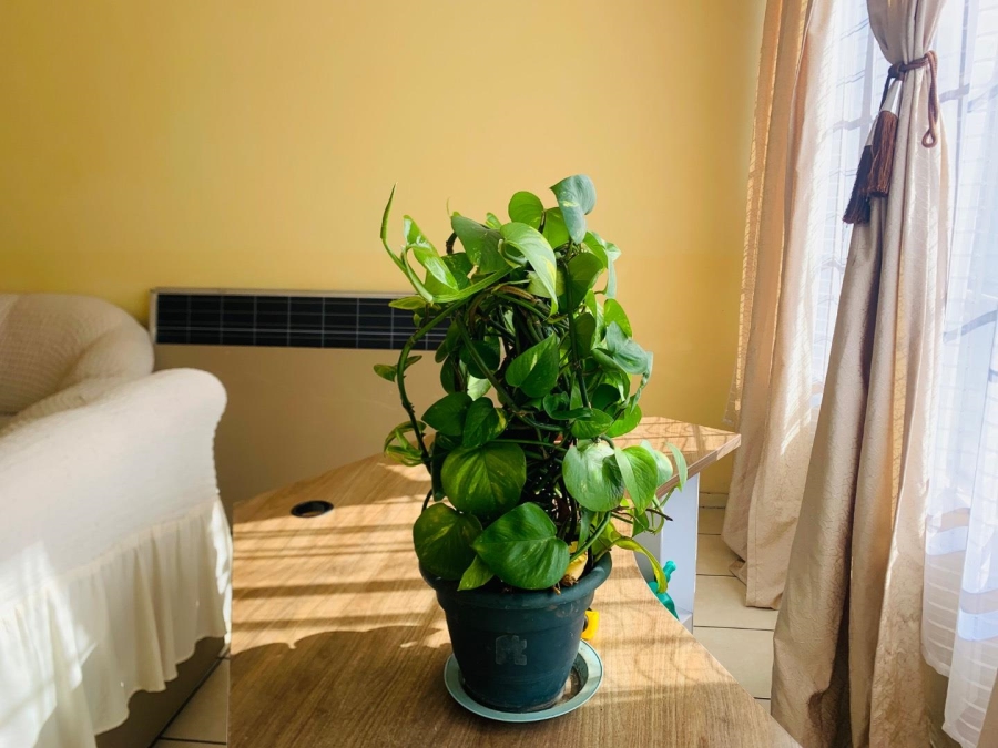 2 Bedroom Property for Sale in Towerby Gauteng