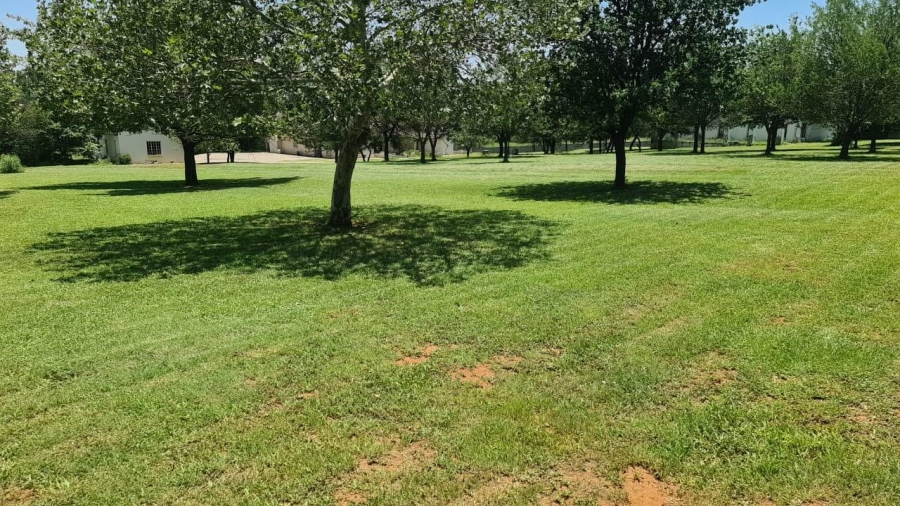 Commercial Property for Sale in Risiville Gauteng