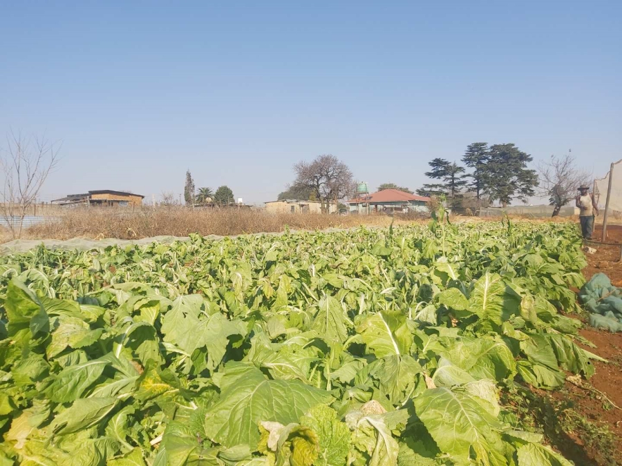 3 Bedroom Property for Sale in Welgedag A H Gauteng