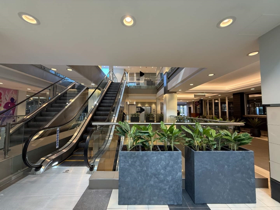 To Let Commercial Property for Rent in Illovo Gauteng