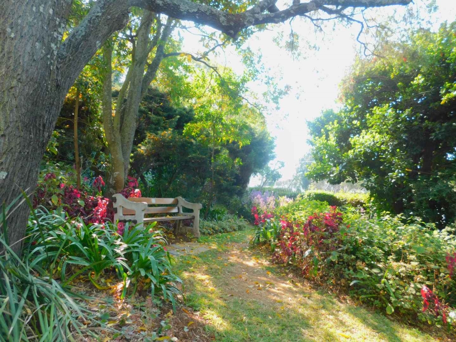 To Let 2 Bedroom Property for Rent in Illovo Gauteng