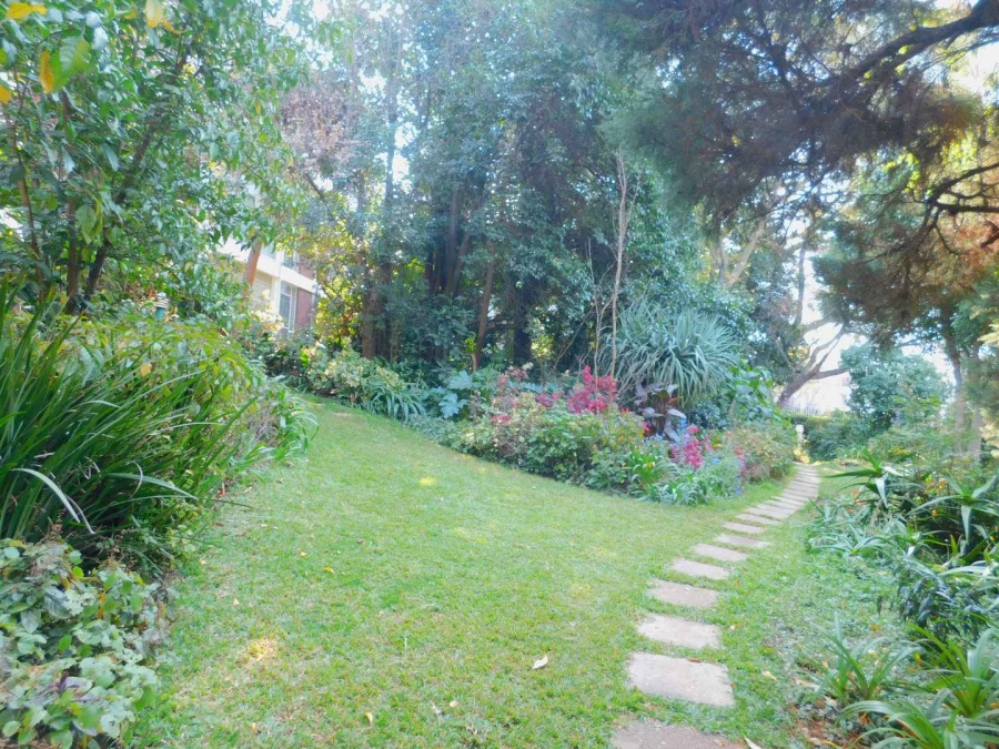 To Let 2 Bedroom Property for Rent in Illovo Gauteng