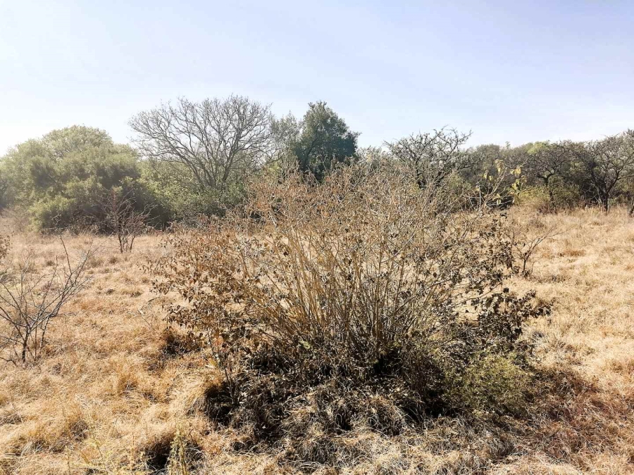 Commercial Property for Sale in Wildebeeshoek Gauteng