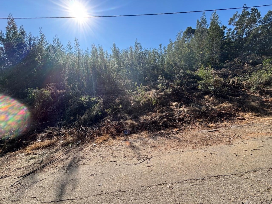 0 Bedroom Property for Sale in Ohenimuri Gauteng
