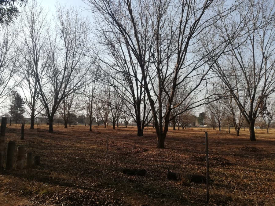 26 Bedroom Property for Sale in Witkop Gauteng
