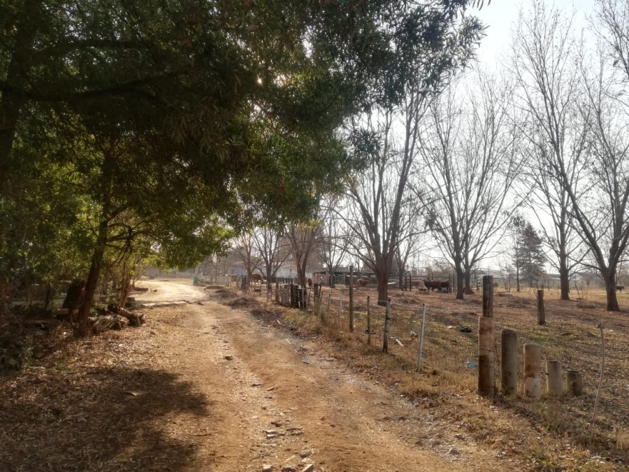 26 Bedroom Property for Sale in Witkop Gauteng