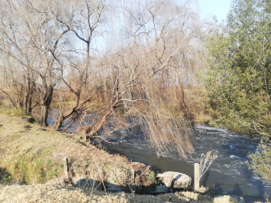 26 Bedroom Property for Sale in Witkop Gauteng