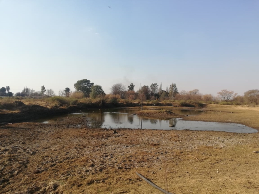 26 Bedroom Property for Sale in Witkop Gauteng