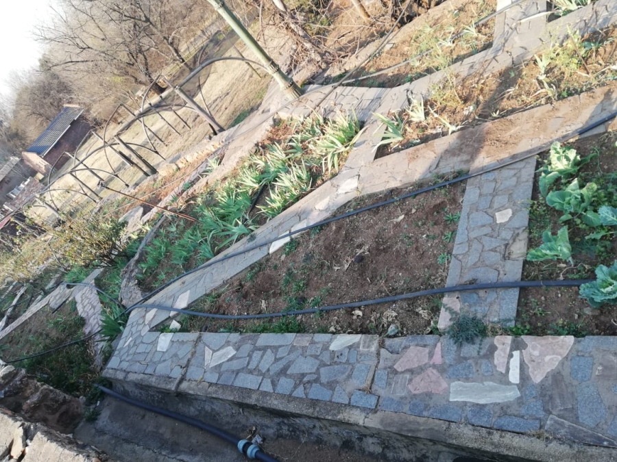 26 Bedroom Property for Sale in Witkop Gauteng