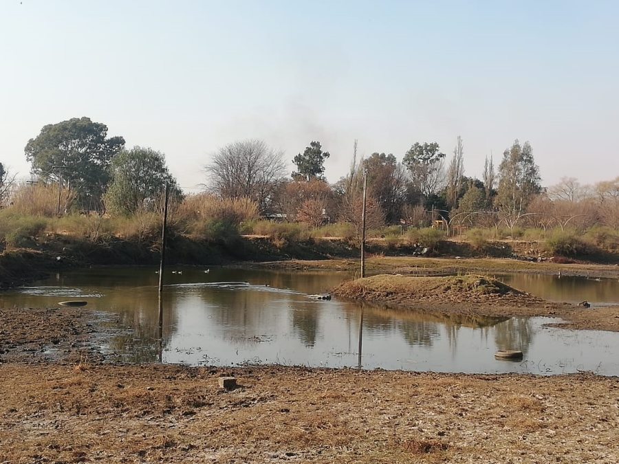 26 Bedroom Property for Sale in Witkop Gauteng