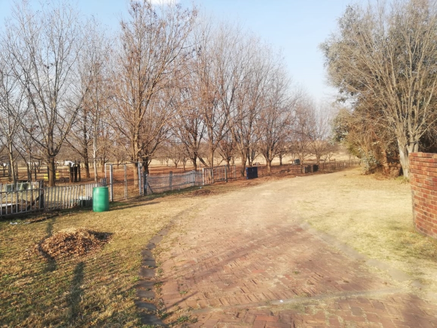 26 Bedroom Property for Sale in Witkop Gauteng