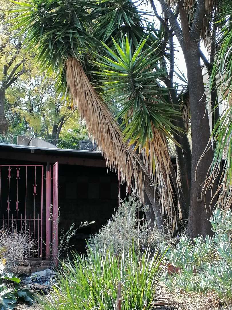 4 Bedroom Property for Sale in Kensington Gauteng