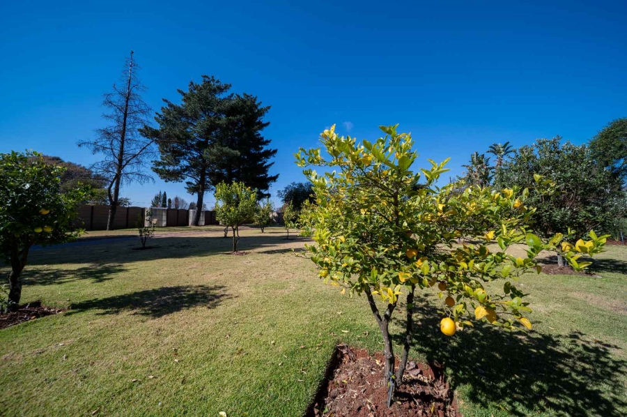 5 Bedroom Property for Sale in Benoni North Gauteng