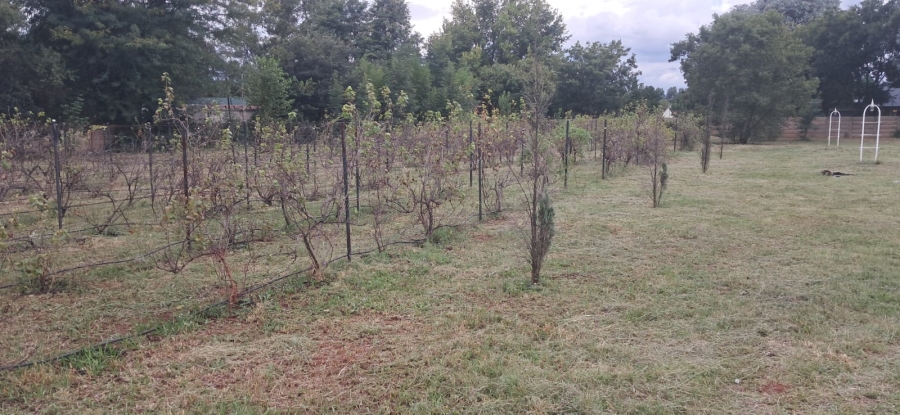 0 Bedroom Property for Sale in Henley on Klip Gauteng