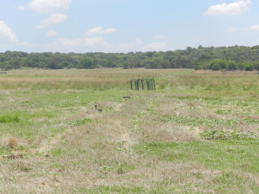 9 Bedroom Property for Sale in Hekpoort Gauteng